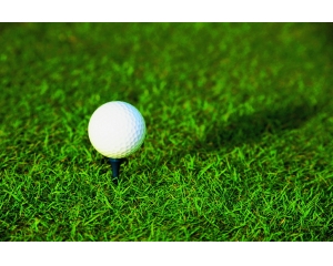 高尔夫球CE认证资料